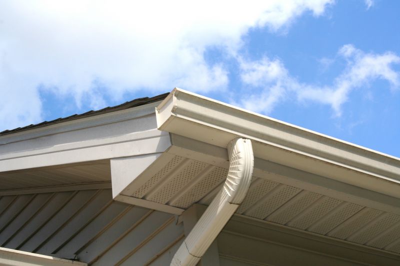 Gutters Project Image