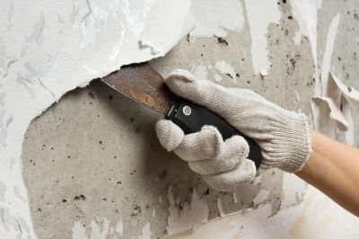 Painting Project Image