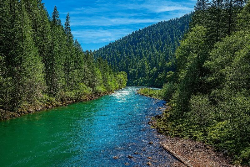 Roseburg OR
