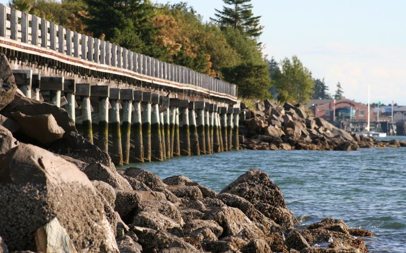 Bellingham WA